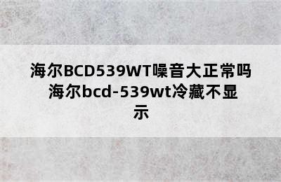 海尔BCD539WT噪音大正常吗 海尔bcd-539wt冷藏不显示